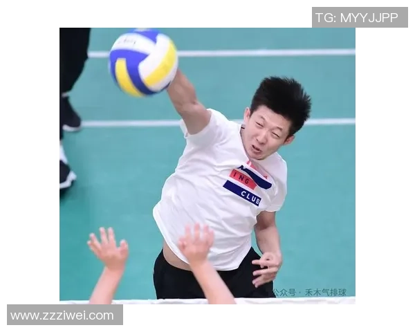 专访杨磊:深入探讨排球背后的成功秘诀与团队精神