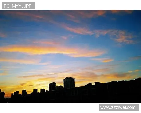 南京篮球队的崛起之路总决赛特别报道见证成长与团结的精彩瞬间