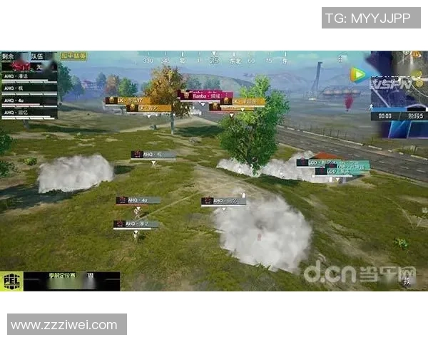 聚焦和平精英：RNG团队协作如何提升战斗力与胜率分析